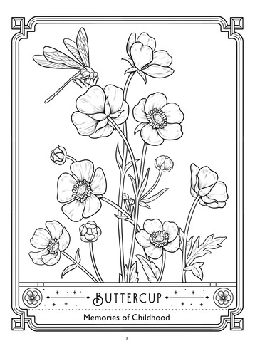 Language Of Flowers | Libro Anillado Colorear | Coco Wyo