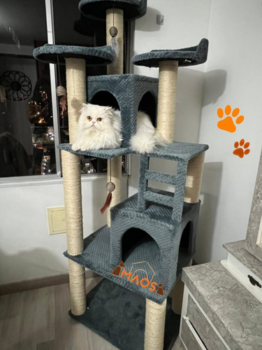 Gimnasio Rascador Para Gato+ Obsequio 3 Juguetes!!