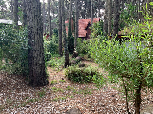 Complejo De Cabañas En El Pinar La Lucila Del Mar