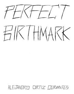Libro Perfect Birthmark - Ortiz Cervantes, Alejandro
