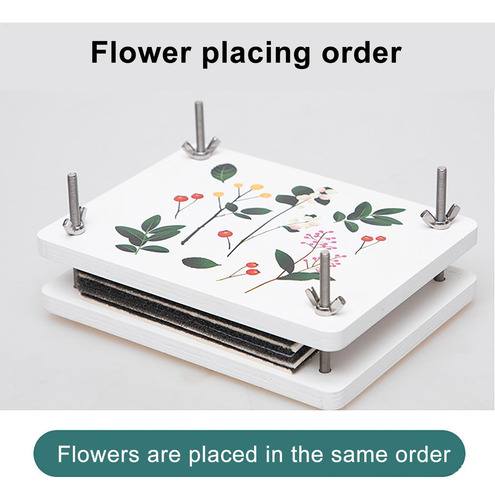 Kit De Prensa De Flores Kit De Bricolaje Para Manualidades C