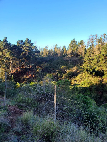 Terreno Ubicado A Menos De Un Kilometro De Algarrobo Centro