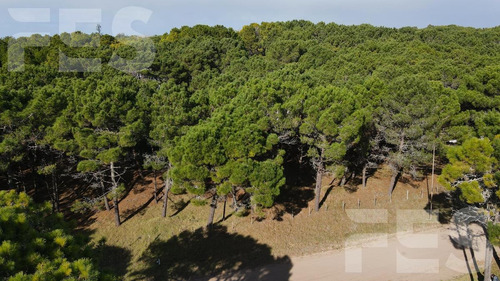 Imagen 4 de 5 de Venta - Lote - Pinamar Norte
