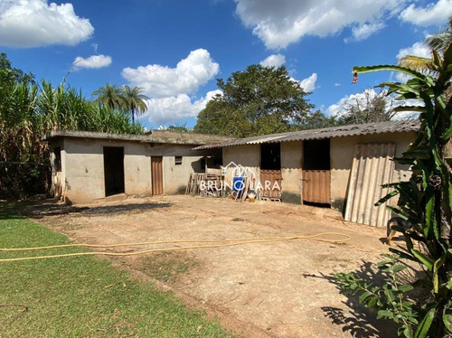 Imagem 12 de 30 de Sítio À Venda Em Igarapé Bairro Jardim Vila Rica - Si0095