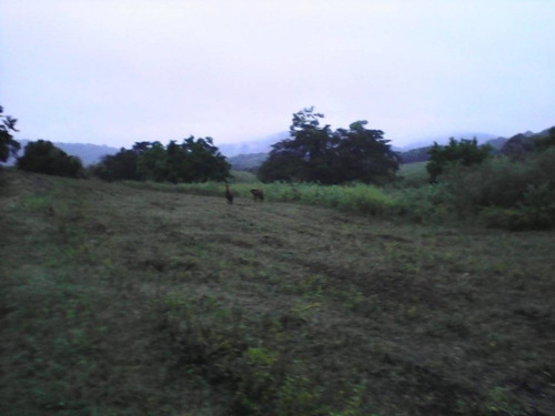 Imagen 10 de 11 de Venta De Rancho En Ciudad Valles, San Luis Posoti