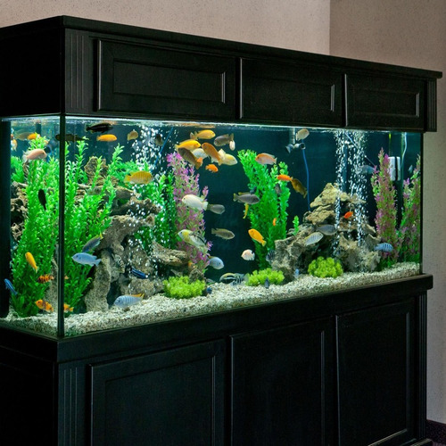 Bomba De Aire Para Acuario Marina 300 + Delivery