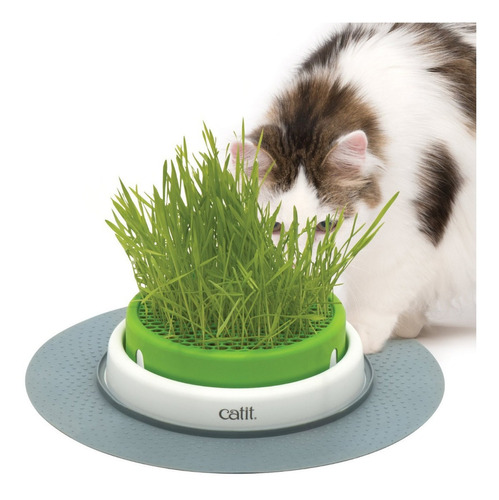 Juguete Para Gatos Cat It Senses 2.0 Grass Planter