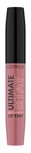 Tinte Labial Ultimate Stay Waterfresh Bff Color Café