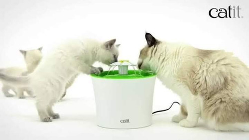 Fuente De Agua Cat It