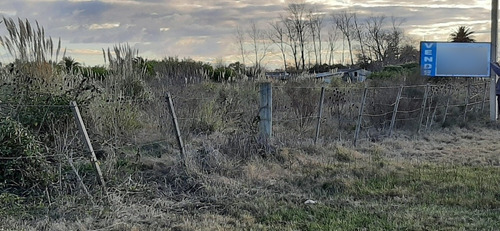 Imagen 8 de 13 de Se Vende Fracción De Campo Ruta 102 Y Melilla
