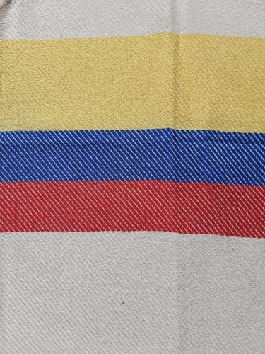 Imagen 2 de 6 de Poncho Paisita Bandera