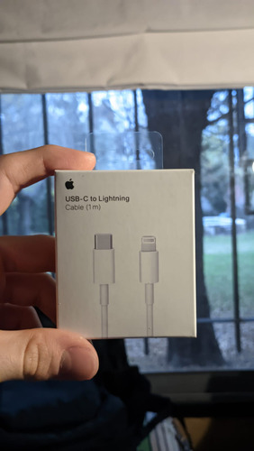 Cable Usb Tipo C A Lightning Apple Original 1m