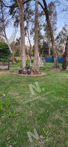 Imagen 16 de 30 de El Tesoro Con Construccion De 115 M2 +44 M2=159 M2 - La Barra El Tesoro