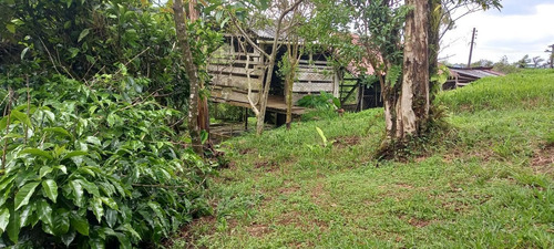 Imagem 15 de 15 de Chácara Para Venda Em São José Dos Pinhais, Área Rural De São José Dos Pinhais - Cha6607_1-2422868