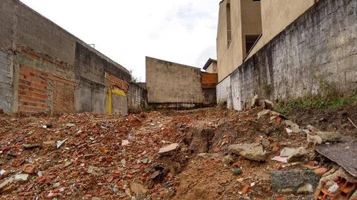 Terreno À Venda, 226 M² Por R$ 440.000,00 - Vila Príncipe De Gales - Santo André/sp - Te0319