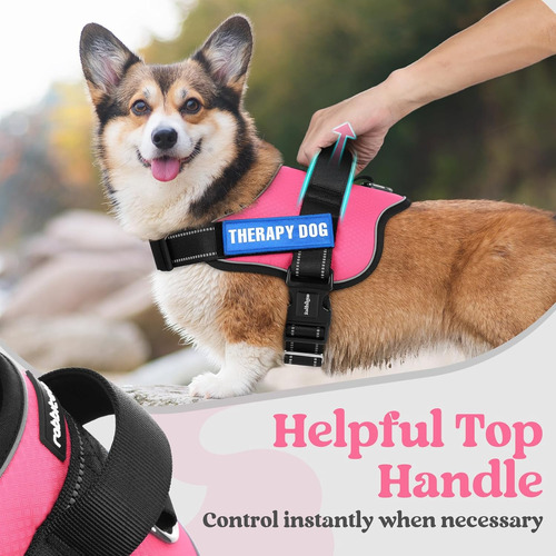 Arnés Para Perro Rabbitgoo Grande, Ajustable, No Tira, Xl