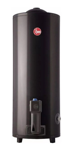 Termotanque A Gas Rheem 120 Litros Tgnp120rh Superior Pie