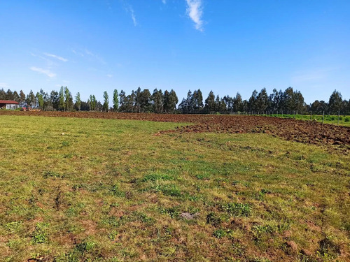 Terreno Agrícola De 6,8 Ha En Venta En San Clemente