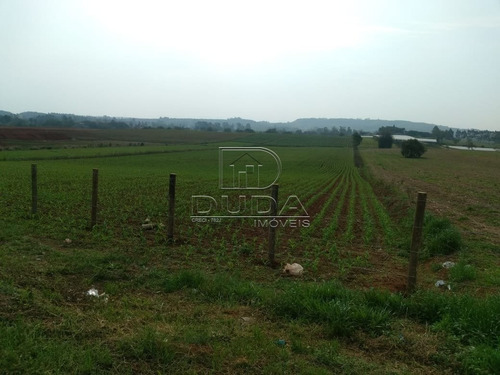 Imagem 8 de 15 de Terreno Comercial - Rio Dos Porcos - Ref: 32079 - V-32076