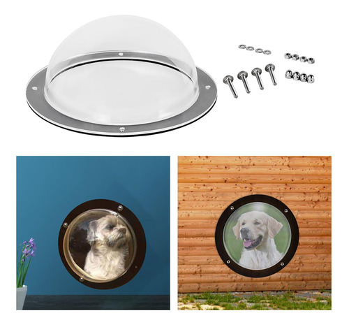 Perro Valla Ventana Domo Insertar Claro Gato Mascota Patio