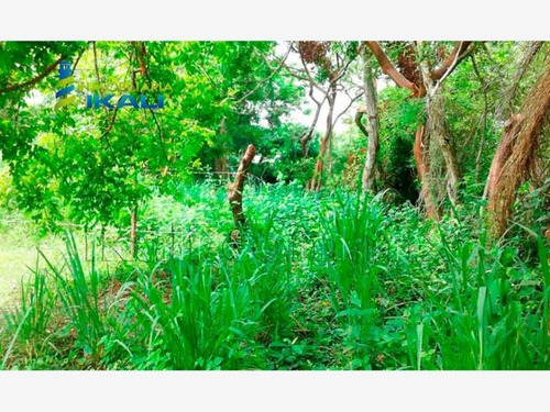 Imagen 2 de 8 de Terreno En Venta Juana Moza