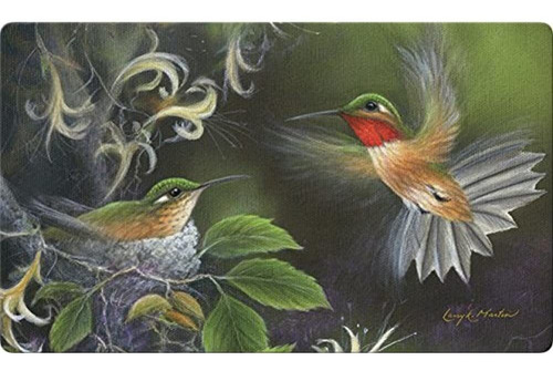 Toland Home Garden Colibrí Rufo 18 Para Manualidades 508 X 7