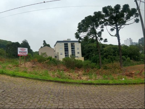 Imagem 3 de 5 de Terreno - Nossa Senhora Da Saude - Ref: 8154 - V-8154