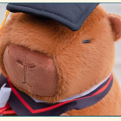 Juguete Capybara Relleno Capybara Graduación Capybara Doll T