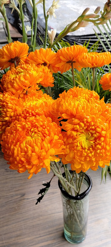 Flores Naturales Recién Cortadas