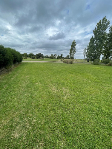 Imagen 14 de 15 de Lote En Venta En El Golf, Nordelta, G.b.a. Zona Norte