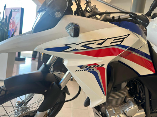 Honda Xre 300 Rally 2021