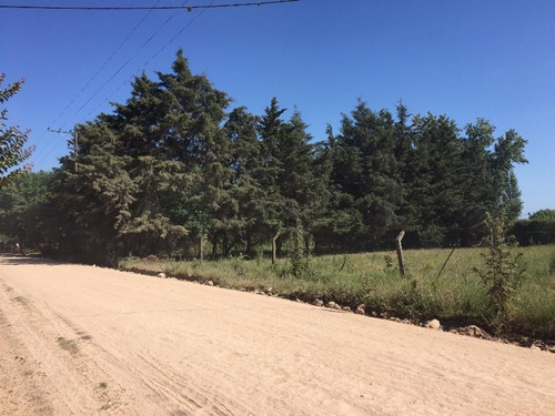 Imagen 1 de 3 de Lote De 950 M2 Excelente Zona