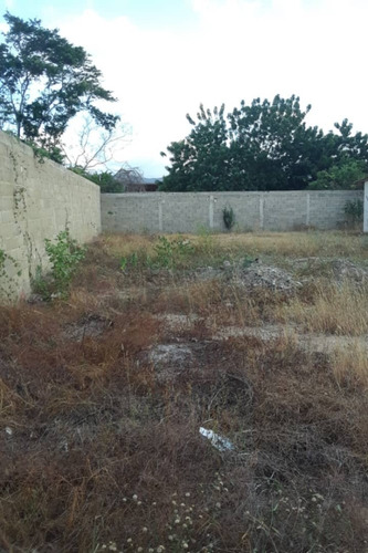 Imagen 5 de 9 de Parcela 245 M2 Urb. Villa Alejandria Av. Cancamure