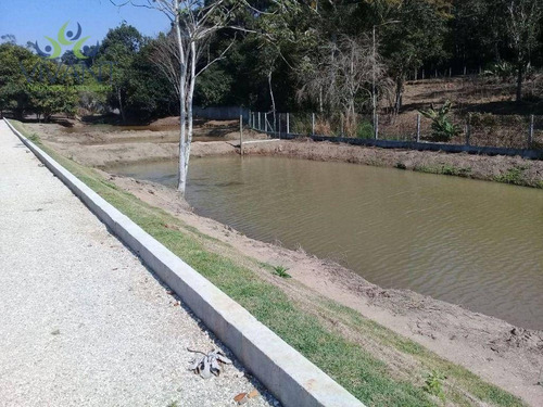 Imagem 14 de 30 de Chácara Com 11 Dormitórios Alugo Comercial , Para Interessados Em Casa De Repouso, Clinicas, Restaurante - Ch0016