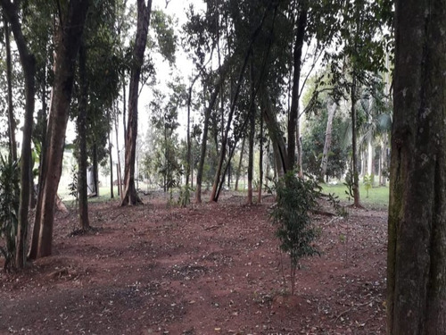Chácara 10.000 M² - Pega Fogo - Taquara - Rs - 2070 - 33675674