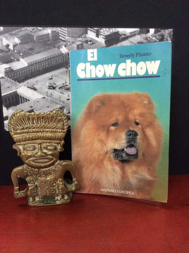 El Chow Chow - Raza, Cuidados, Comportamiento, Crianza