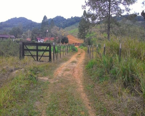Imagem 18 de 30 de Fazenda - 0195 - 32820324