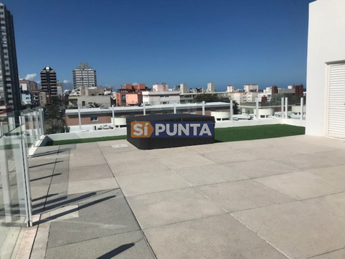 Imagen 14 de 15 de Apartamento En Alquiler