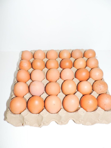 Huevos Caseros De Gallinas Libres Pastoriles X 6 Maples