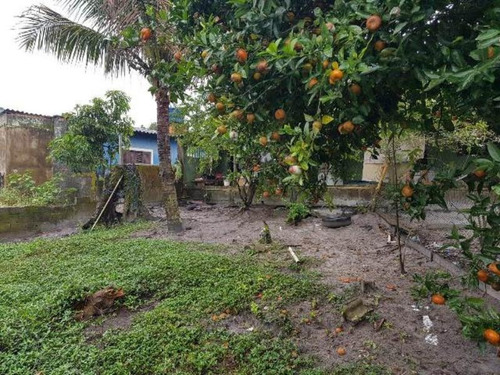 Excelente Casa No Jardim Regina Em Itanhaém - 4607 | Npc