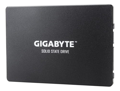 Disco sólido SSD interno Gigabyte GP-GSTFS31120GNTD 120GB negro