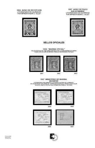 Chile, Álbum De Sellos Para Imprimir Castellano Color L16088