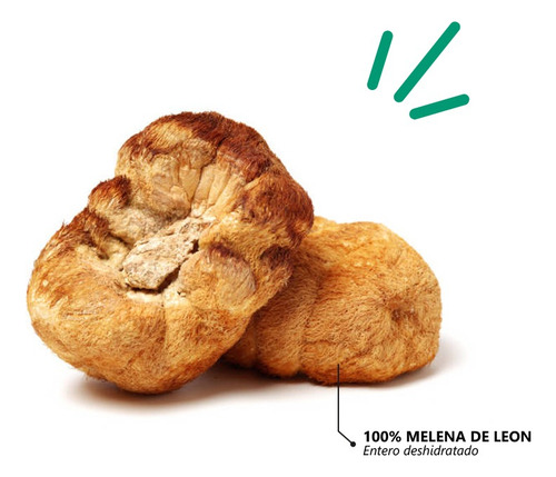 Hongo Melena De Leon Deshidratado 100% | 100grs | Premium Neutro