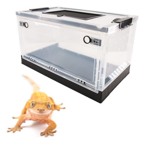 Caja Abatible De Cría Para Arácnidos Y Reptiles. Kewoow