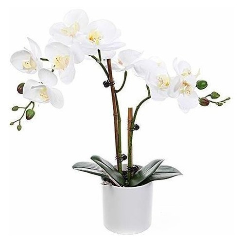 Ezflowery Flores Artificiales De Orquídeas Phalaenopsis Con 