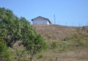 Imagen 5 de 14 de Venta Finca Tinaquillo Plano Pozo Tanque Cod. 422543 Cesar Laurentin