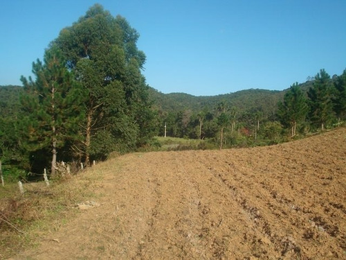 Imagem 12 de 15 de Sítio Em Ibiúna - 145.200m2 | 31497 - 31497
