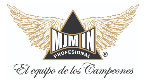 Imagen 3 de 3 de Base Soporte Para Costal Box Mma Kick Boxing Cromado Mjm In