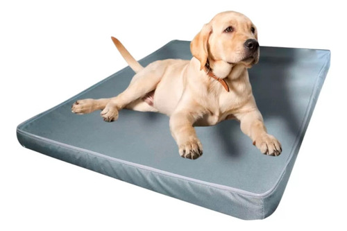 Colchão Colchonete Ortopédico Pet Impermeável Tam G 1.00x80 Cor Cinza Desenho Liso