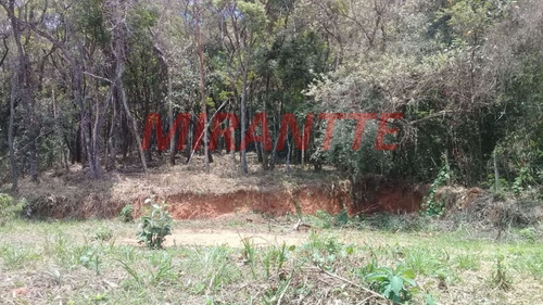 Imagem 1 de 5 de Terreno Em - Mairiporã, Sp - 333764